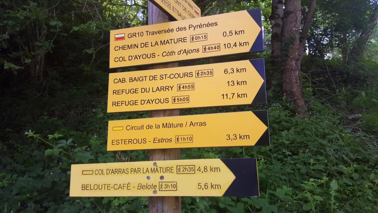 Le Gite Des Mousquetaires Lanne-en-Baretous Esterno foto