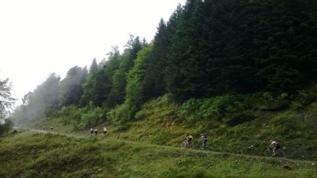 Le Gite Des Mousquetaires Lanne-en-Baretous Esterno foto