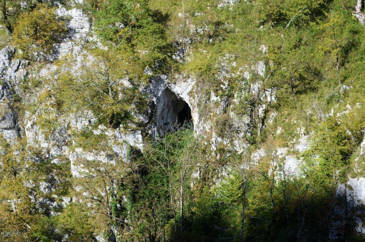 Le Gite Des Mousquetaires Lanne-en-Baretous Esterno foto