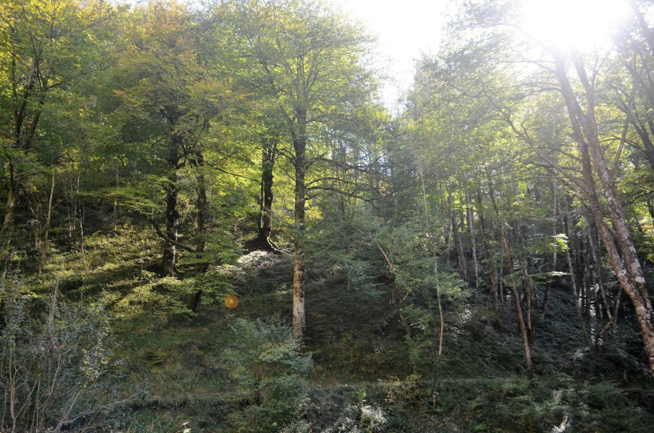 Le Gite Des Mousquetaires Lanne-en-Baretous Esterno foto